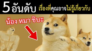 5 อันดับ | เรื่องที่คุณอาจไม่รู้เกี่ยวกับน้องหมาชิบะ