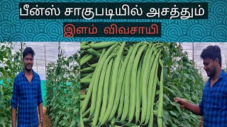 பீன்ஸ் சாகுபடி செய்வது எப்படி|| Beans cultivation in Tamil|| Beans pest and disease control||2021