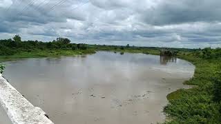 สถานการณ์น้ำในแม่น้ำมูล อำเภอราษีไศล จังหวัดศรีสะเกษ