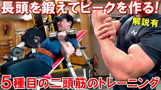 【筋トレ】上腕二頭筋の長頭から鍛えてピークを作る！POF法で鍛える5種目のトレーニング【解説有】