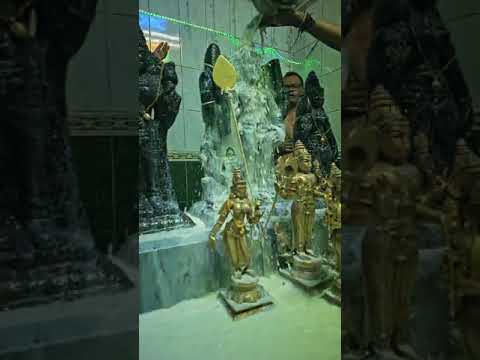 Stri Muruga Kovil - Thai Poosam Kavady 2024 - YouTube