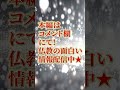 【南泉和尚】映画『銀河鉄道の父』について和尚が語る！【仏教】 shorts