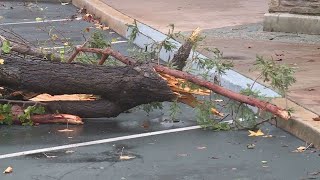 California tornado: Damage seen in Scotts Valley