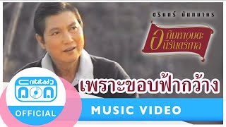 เพราะขอบฟ้ากว้าง - ชรินทร์ นันทนาคร [Official Music Video]