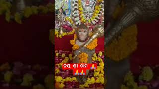 ଜୟ ଶ୍ରୀ ରାମ 🙏🙏🙏new post vairal video please subscribe my channel odia vlogar liza 🙏🙏🙏🙏🙏🙏🙏🙏🙏