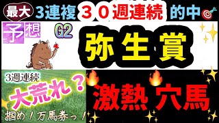 弥生賞2024《最大３０週連続3連複的中🎯》アナ53競馬予想『穴馬ヒモ解き』最終結論