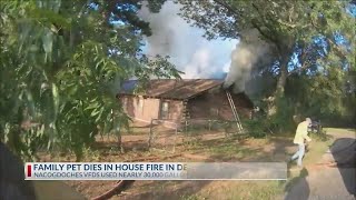 Family pet dead after house fire in Nacogdoches County