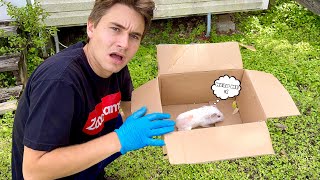 I CANT BELIEVE THIS PET-STORE IS SELLING SICK ANIMALS ! THEY NEED TO BE SHUTDOWN....