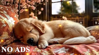 Dog Stress Relief Music 🎶 12-Hour Music for Comfortable Rest