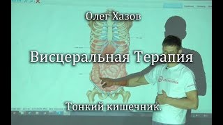 Visceral therapy. Small intestine. Oleg Khazov