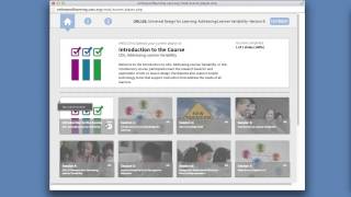 Using the courseware
