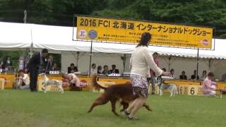 00011　2016.7.16　 FCI北海道インター　総合　牝　１