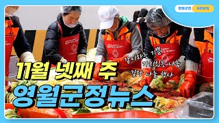 2024 11월 넷째 주 영월군정뉴스