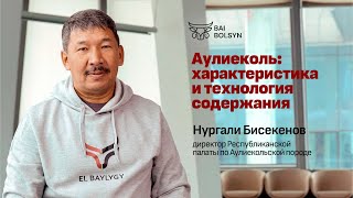 АУЛИЕКОЛЬ: характеристика, содержание, уход за КРС в Казахстане — Нургали Бисекенов | EL BAYLYGY