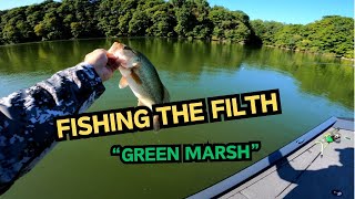 Fishing the Filthy Green – Bass in the Murk | Blue Marsh Lake