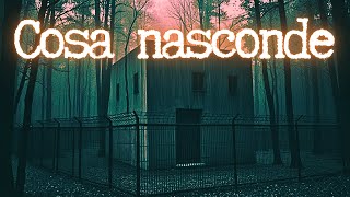 Cosa nasconde (Storia horror)