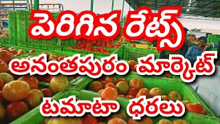 2024 Anantapur tomato market rates/today tomato market rates/today Anantapur tomato rate