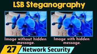 LSB Steganography - Demo