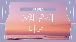 5월 운세 타로