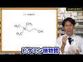 【サプリの話】レシチンとコリンについて。新しい必須栄養素？【薬剤師が解説】