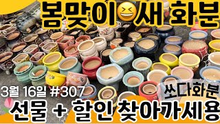 307차 #쏘다화분 3월 16일 | 예쁜  #화분  #다육화분 #예쁜화분 6만이상무배 신상 선물 할인