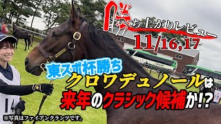 【一口馬主勝ち上がりレビュー11/16-17】クロワデュノールが東スポ杯を勝利！マスカレードボールとの対決が楽しみになりました【節約大全】Vol.1328