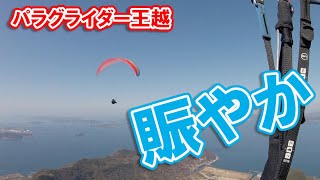 パラグライダー王越2023.3.5「賑やか」