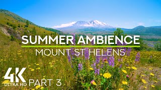 8 HRS Calming Birds Chirping on a Sunny Day - 4K Summer Relax at Mount St Helens - Episode #3