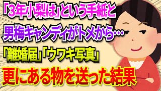 【2chDQN返し】トメから「3年子なきは」と言う手紙と「男梅キャンディ」が届いたので、『離婚届』『夫のウワキ写真』『弁護士の名刺』そしてあるモノを送った結果ｗ #2ch #dqn返し