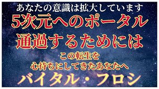 【次元上昇】あなたが5次元ポータルを通過するために【アセンションの鍵は】