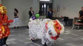 Lion Dancing