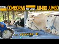 Comboran Tidak Harus Banyak !! Tapi Bisa Jumbo Jumbo !! Ini Rahasianya..