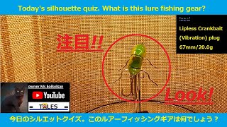 [Today's lure Silhouette quiz / fishing gear / do you understand? ] 】　＝TALES＝　【17/04/2022-002Q】