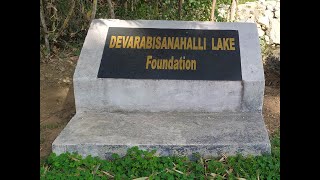 Bangalore lakes : Devaranbisanahalli lake , A heaven in the midst of Software  SEZs