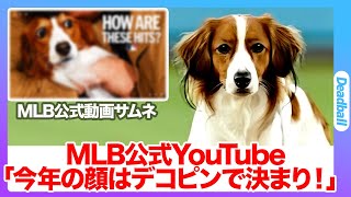 また大谷翔平の愛犬・デコピンが快挙！MLB公式「2024年の出来事まとめ」の動画で見事にサムネデビュー！「Wikipedia」にも掲載され、世界でも超希少な存在に！