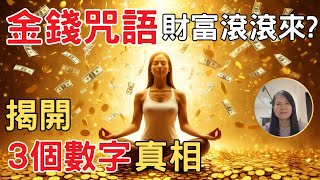 金錢咒語  財富滾滾來, 永遠不缺錢   揭開3個數字驚人真相 親身調查驗証520 財富密碼   3個數字寫在左手上