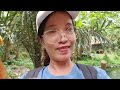 camp silva natural hot spring clear water @ calauan laguna