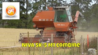 Harvest 2019 | Rostselmash NIVA SK-5 M1 combine harvesting barley