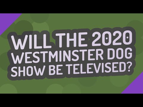 Will the Westminster Dog Show be televised?