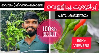 വെള്ളിച്ച, കുരിടിപ്പ്|എത്ര നശിപ്പിക്കാൻ നോക്കിയിട്ടും പറ്റുന്നില്ല,  എങ്കിൽ ഇതുപോലെ ചെയിതു നോക്കു