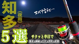 ［堤防５選］知多湾に何が起こっているのか、アジングタックルで爆速調査してきました。※夜釣り