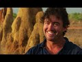 australia s deadliest predators savage australia documentary