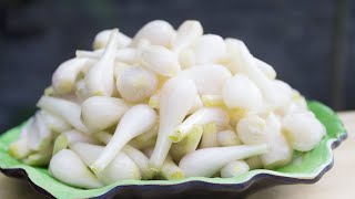 TỰ TAY LÀM KIỆU NGÂM CHUA NGỌT GIÒN NGON CHO NGÀY TẾT - CKK