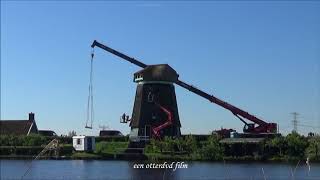 Twiskemolen, Kap geplaatst en roeden gestoken.