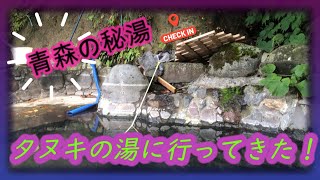 秘湯！野湯！露天風呂！混浴⁉青森「タヌキの湯」に行ってみた！