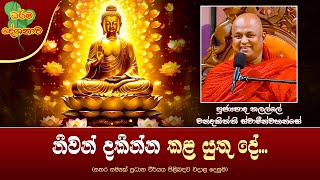 Ven Thalalle Chandakitthi Thero | 2024-11-01 | 12:30PM (නිවන් දකින්න කළ යුතු දේ...)