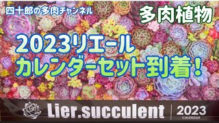 【多肉植物】🗓2023リエールカレンダーセット到着❣️