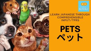 Learn Japanese through comprehensible input/TPRS. #5 PETS ペット