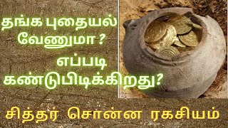 இரும்பை தங்கமாக்கும் ரசவாதம் | Alchemy Tamil | SIDDHARGAL ARIVOM EP51