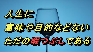 人生に意味や目的などない、ただの暇つぶしである